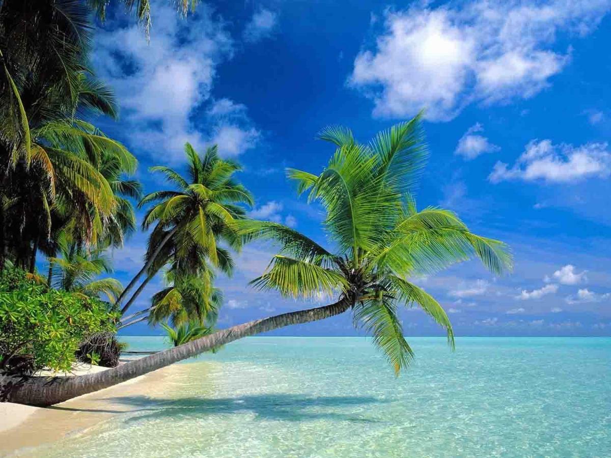 Sanya Tropical Coast Hotel Bagian luar foto